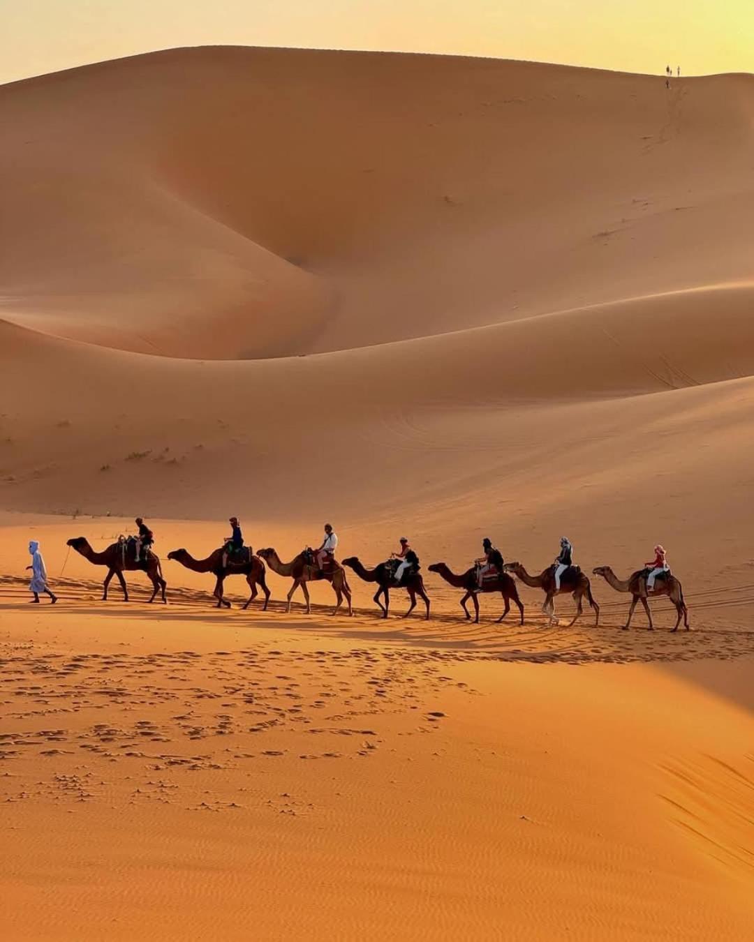 Hammadi Desert Camp Merzouga Exterior foto